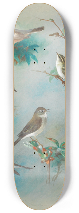 Archibald Thorburn - Warbler And Wrens 8.25 inch art skate deck