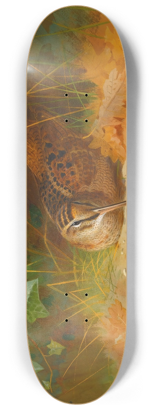 Archibald Thorburn - Woodcock 8.25 inch art skate deck
