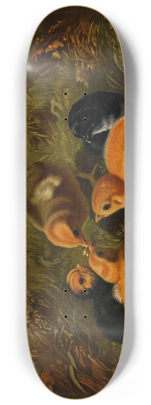 Arthur Fitzwilliam Tait - Chickens 8.25 inch art skate deck