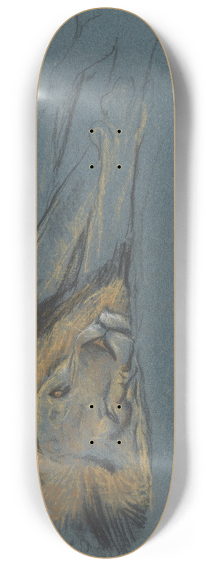 Arthur Wardle - A sleeping lion 8.25 inch art skate deck