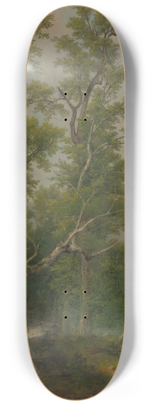 Asher Brown Durand - Study ofTrees 8.25 inch art skate deck