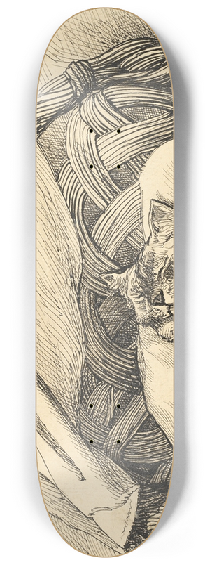 Auguste Andre Lanon - Cat Asleep in Basket 8.25 inch art skate deck