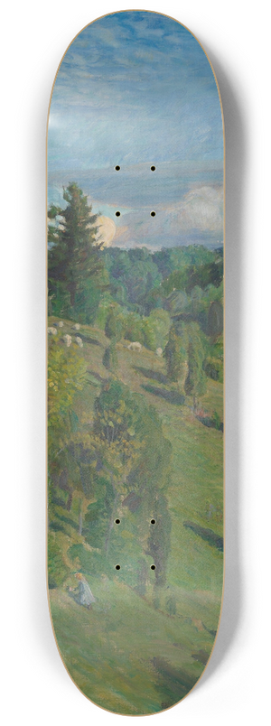 August Eiebakke - Landscape in Sun 8.25 inch art skate deck