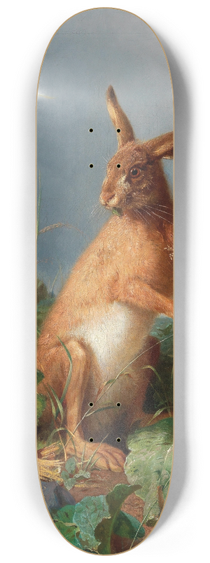 August Heyn - A Hare in the Field 8.25 inch art skate deck