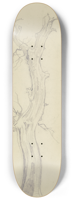 August Lucas - Leafless tree 8.25 inch art skate deck