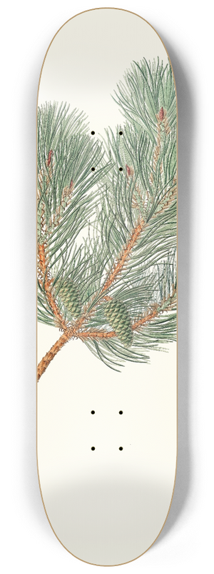 Aylmer Bourke Lambert - Pinus variablilis = Variable-leaved bastard pine 8.25 inch art skate deck