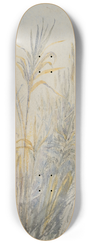 Barbara Bodichon - Sketchbook 8.25 inch art skate deck
