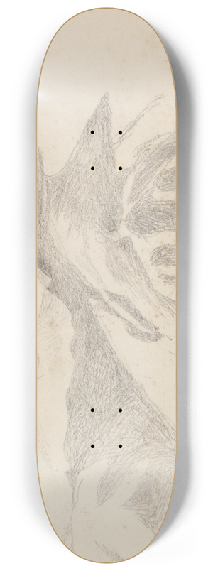 Barbara Bodichon - Study of Mountainous Landscape 8.25 inch art skate deck