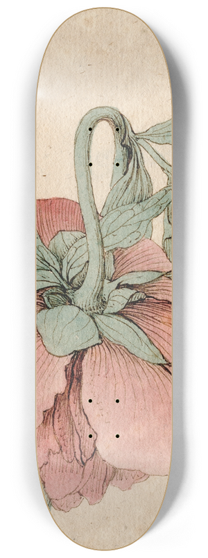Barend Hendrik Thier - Pioenroos 8.25 inch art skate deck