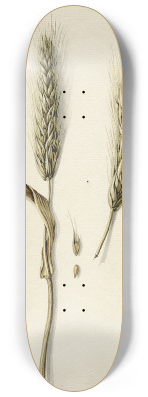 Barend Hendrik Thier - Rijpe rogge 8.25 inch art skate deck