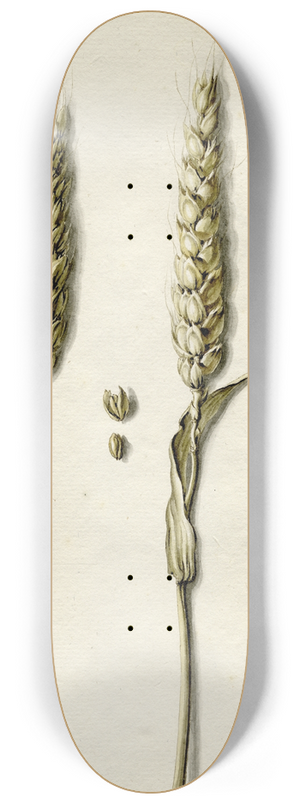 Barend Hendrik Thier - Rijpe tarwe 8.25 inch art skate deck
