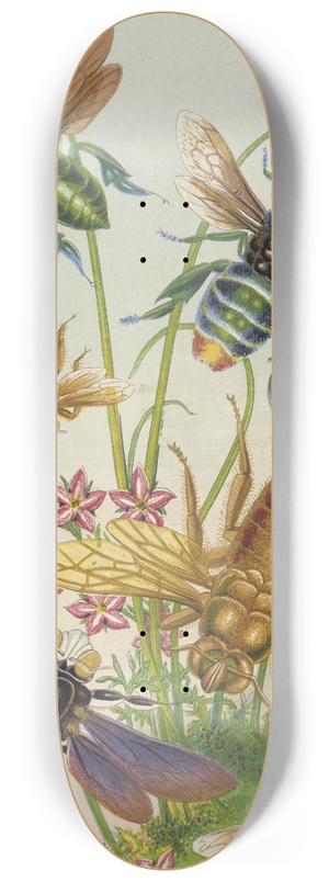 Barret And Sons - Bees And Their Conterfeits 8.25 inch art skate deck