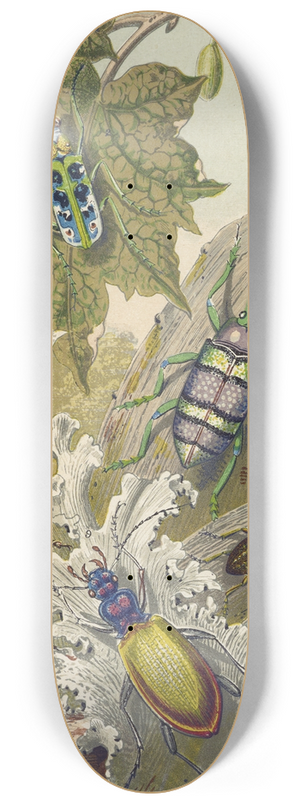Barret And Sons - British Bees And Their Foreign Relatives 8.25 inch art skate deck