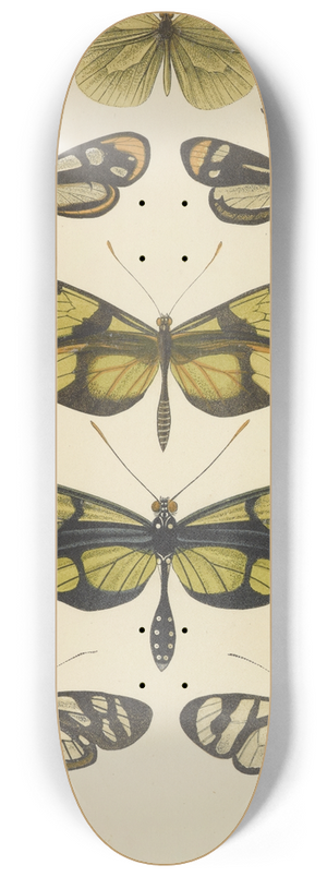 Barret And Sons - South American Butterflies 8.25 inch art skate deck