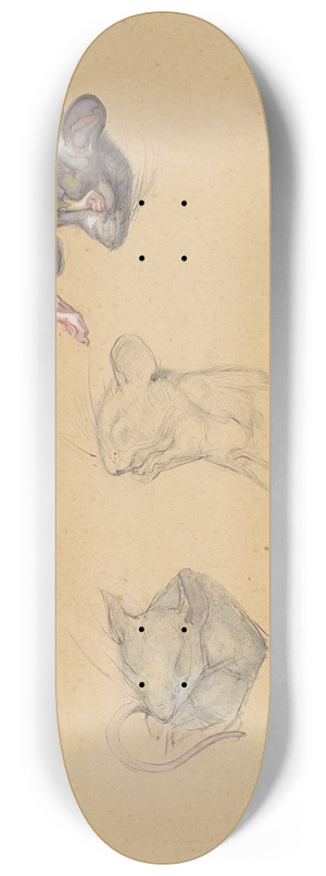 Bernard Willem Wierink - Drie studies van een bosmuis 8.25 inch art skate deck