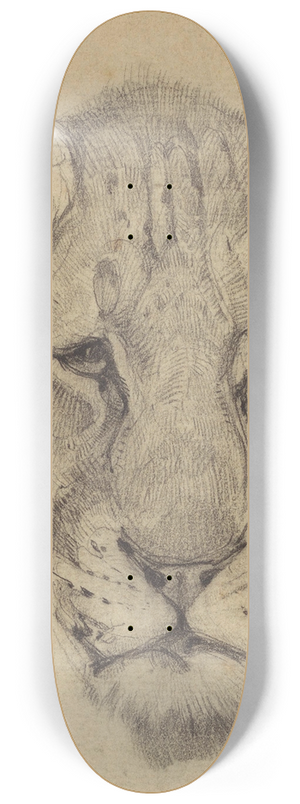 Bernard Willem Wierink - Kop van een leeuwin, van voren 8.25 inch art skate deck