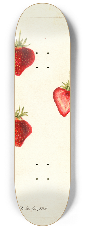Bertha Heiges - Fragaria: Meeks 8.25 inch art skate deck