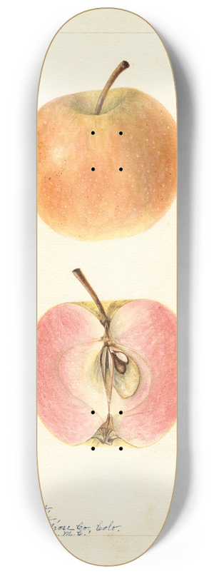 Bertha Heiges - Malus domestica: Surprise 8.25 inch art skate deck