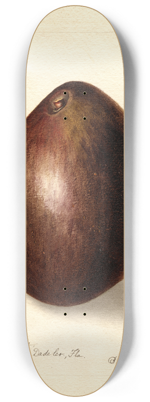Bertha Heiges - Persea: Baldwin 8.25 inch art skate deck