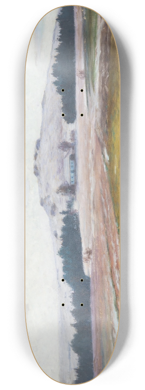 Frantiek Kavn - Sugar Mood 8.25 inch art skate deck