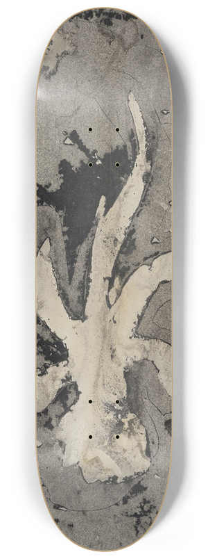 Carel Adolph Lion Cachet - Bloem (orchidee), 1874  1945 8.25 inch art skate deck