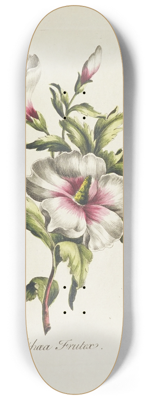 Carington Bowles - Althaea frutex 8.25 inch art skate deck