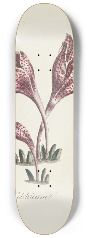 Carington Bowles - Colchicum 8.25 inch art skate deck