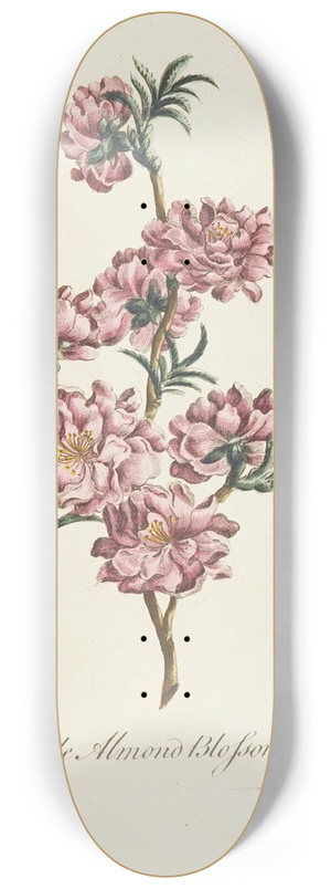 Carington Bowles - Double almond blossom 8.25 inch art skate deck
