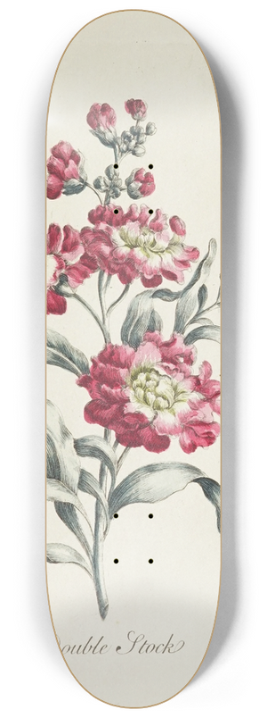 Carington Bowles - Double Stock 8.25 inch art skate deck