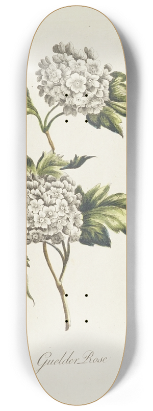 Carington Bowles - Guelder Rose 8.25 inch art skate deck