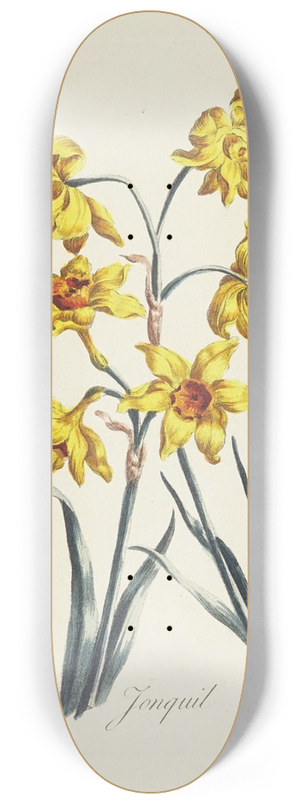 Carington Bowles - Jonquil 8.25 inch art skate deck