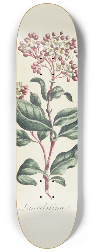 Carington Bowles - Laurelstina 8.25 inch art skate deck