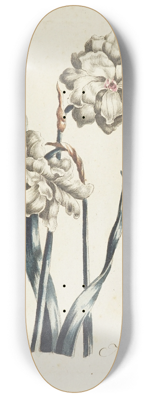 Carington Bowles - Narcissus 8.25 inch art skate deck