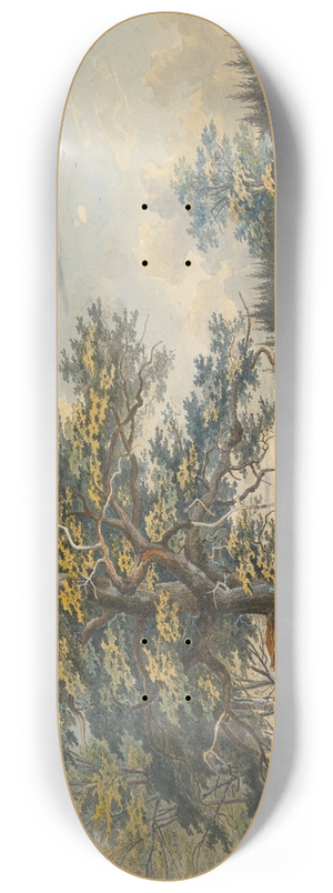 Carl August Lebschee - Wooded Landscape with Stag 8.25 inch art skate deck
