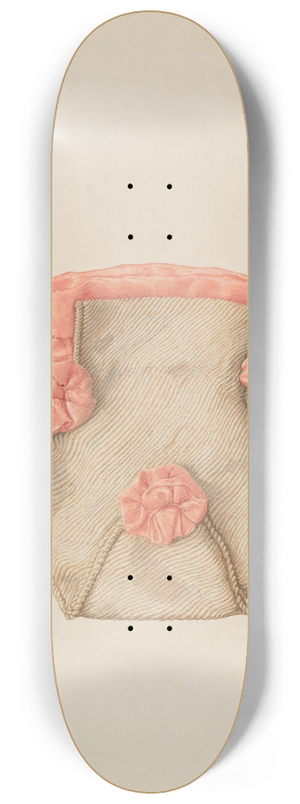 Carl Buergerniss - Handbag 8.25 inch art skate deck