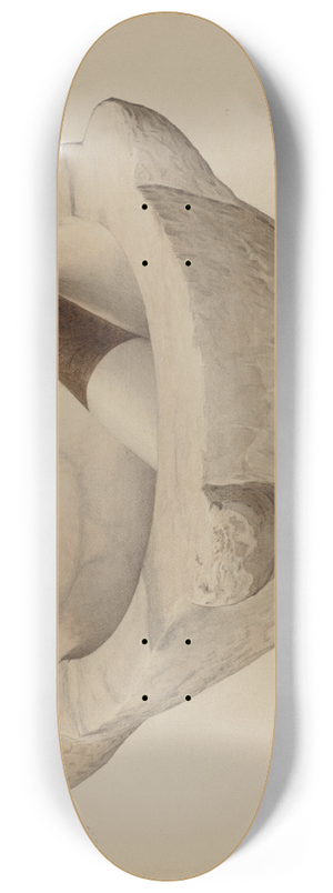 Carl Buergerniss - Mortar and Pestle 8.25 inch art skate deck