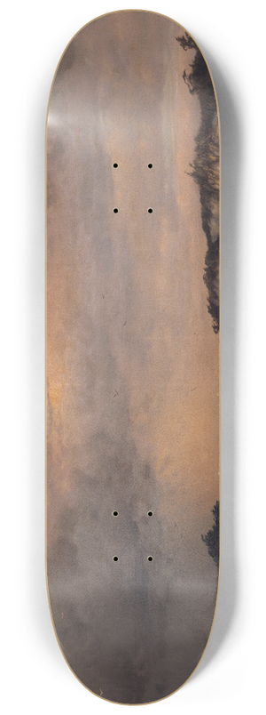 Carleton Wiggins - Sand Dunes; Coney Island 8.25 inch art skate deck