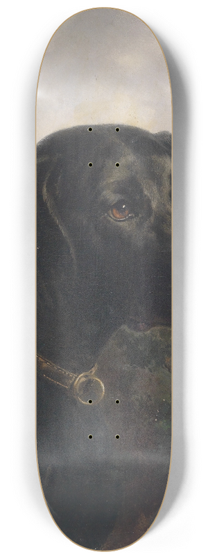 Carl Reichert - Hector 8.25 inch art skate deck