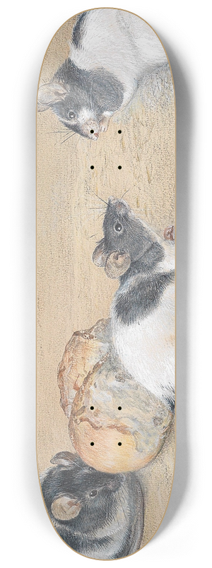 Carl Reichert - Muse 8.25 inch art skate deck