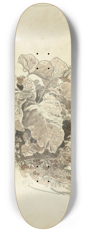 Carl Wagner - Huflattich 8.25 inch art skate deck