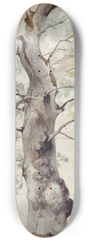 Caspar Scheuren - Study of a Tree 8.25 inch art skate deck