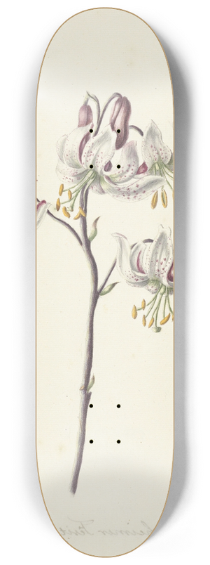 Catharina Lintheimer - Takje met vier witte lelies 8.25 inch art skate deck
