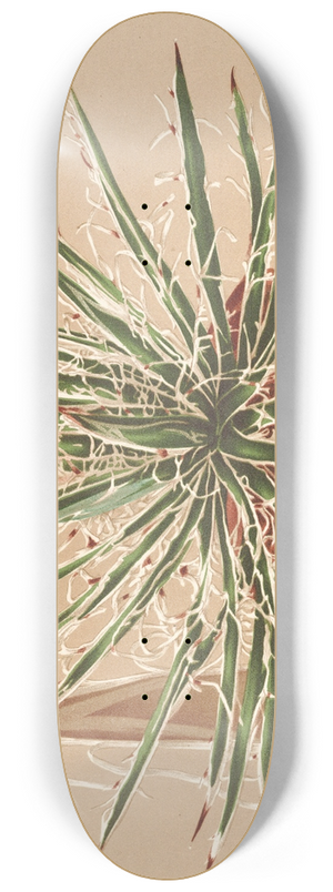 Charles Antoine Lemaire - Agave schidigera 8.25 inch art skate deck
