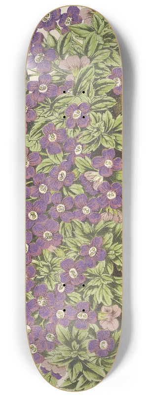 Charles Antoine Lemaire - Aubrietia Campbelli (var.) 8.25 inch art skate deck