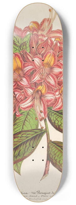 Charles Antoine Lemaire - Azala Bouquet de Flore Hort. Versch 8.25 inch art skate deck