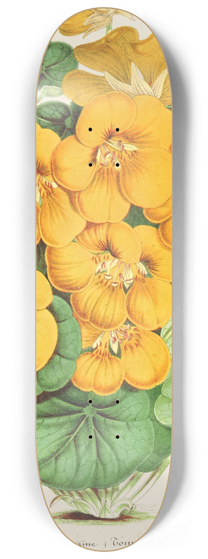 Charles Antoine Lemaire - Capucine Tom Pouce 8.25 inch art skate deck