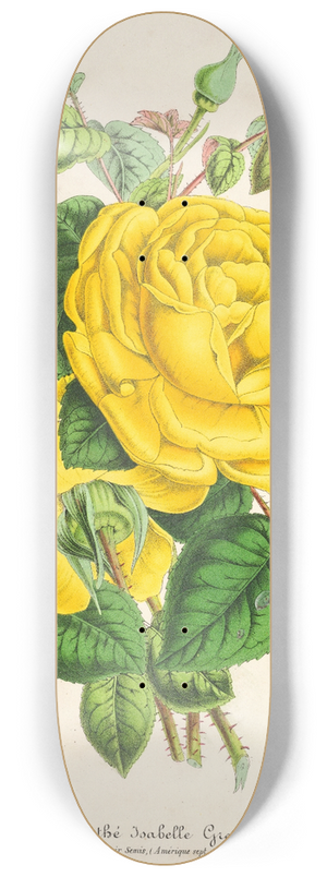 Charles Antoine Lemaire - Rose The Isabelle Grey 8.25 inch art skate deck