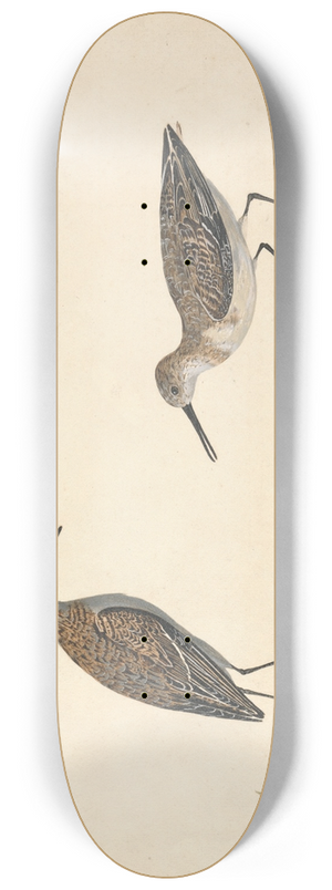 Charles Collins - A Pair of Stints 8.25 inch art skate deck
