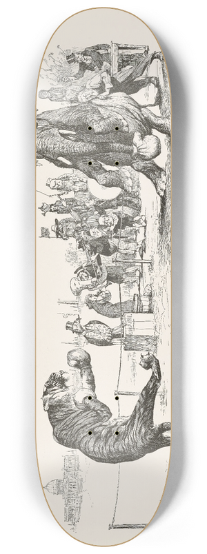 Charles Dana Gibson - Time! 8.25 inch art skate deck