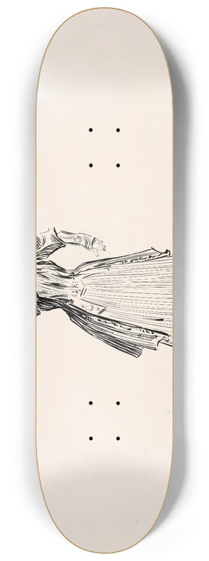 Charles Dana Gibson - Untitled 8.25 inch art skate deck